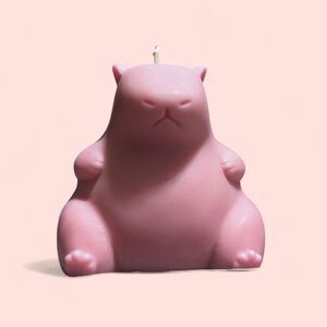 Pink Valentine's Day Gift Capybara Candle